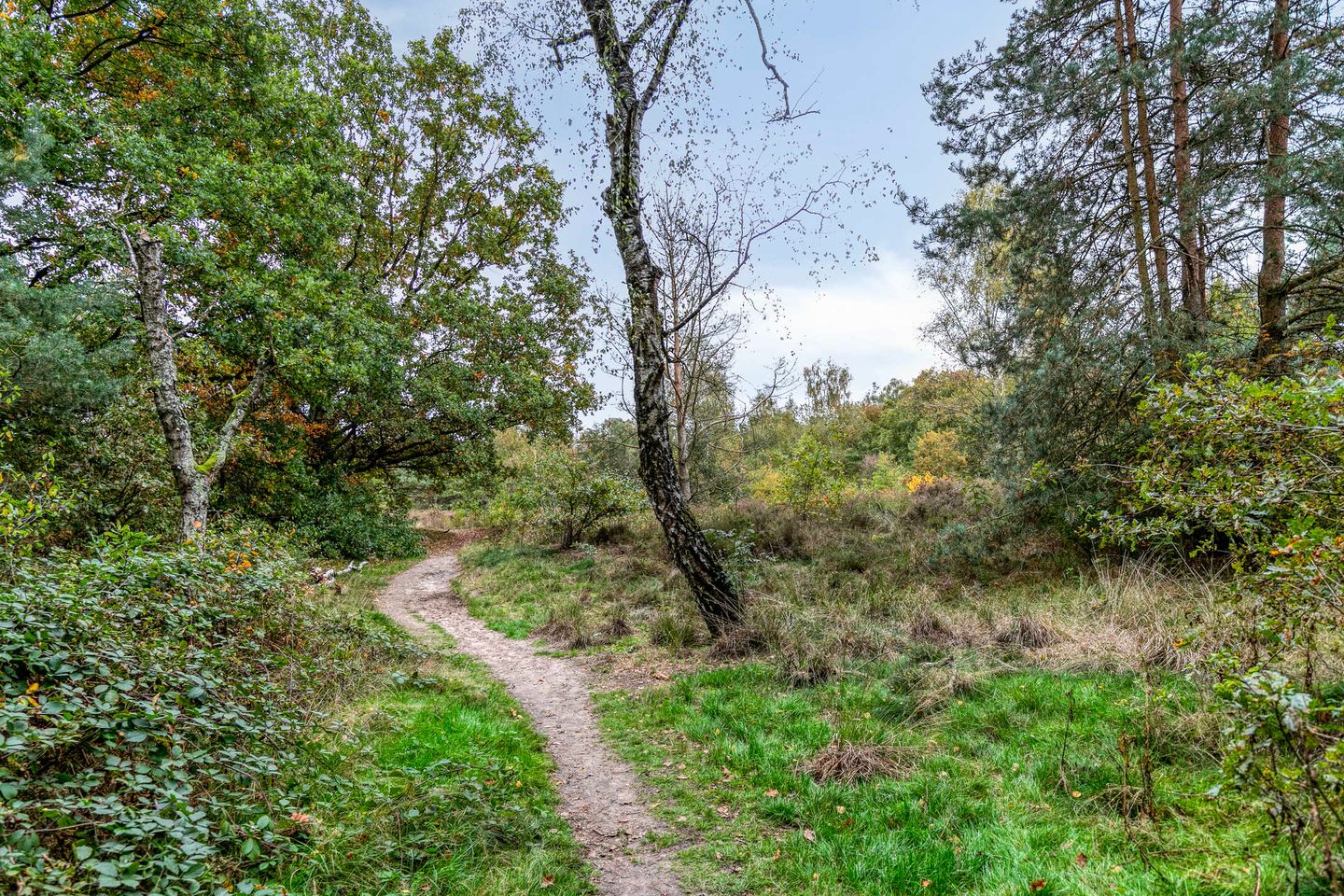 Photo 55 of Bargapark 12-A