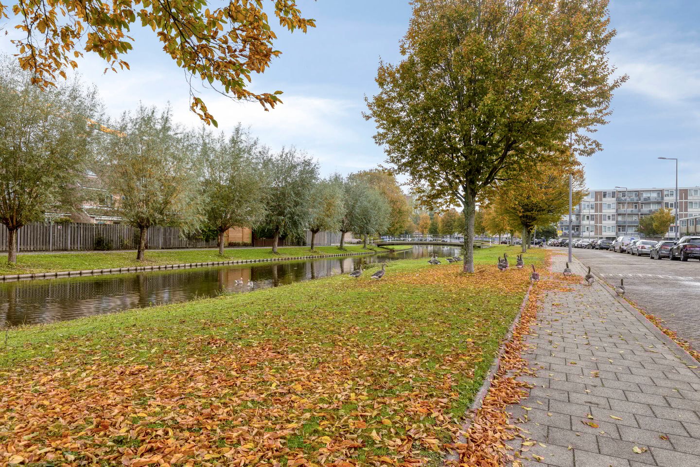 Photo 19 of Wilgenplaslaan 264