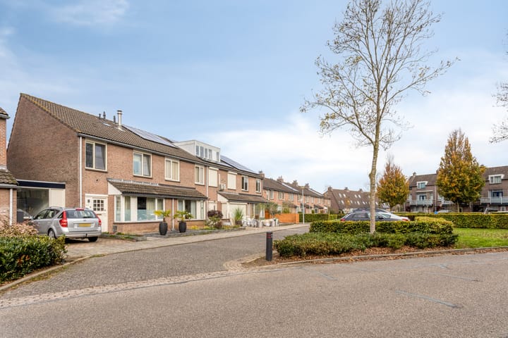 Foto 30 van Hoogmeer 1925