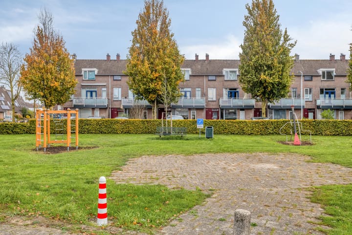 Foto 31 van Hoogmeer 1925