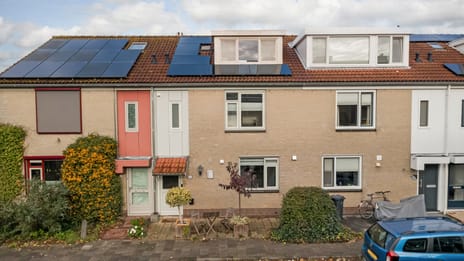 Kruidenschans thumbnail