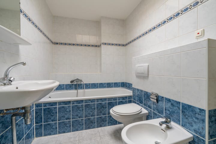 Foto 42 van Honswijkpolder 36