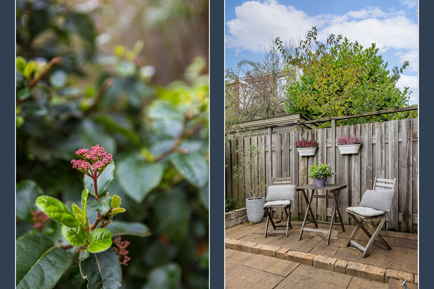 Foto 34 van Adriaen van Ostadelaan 101