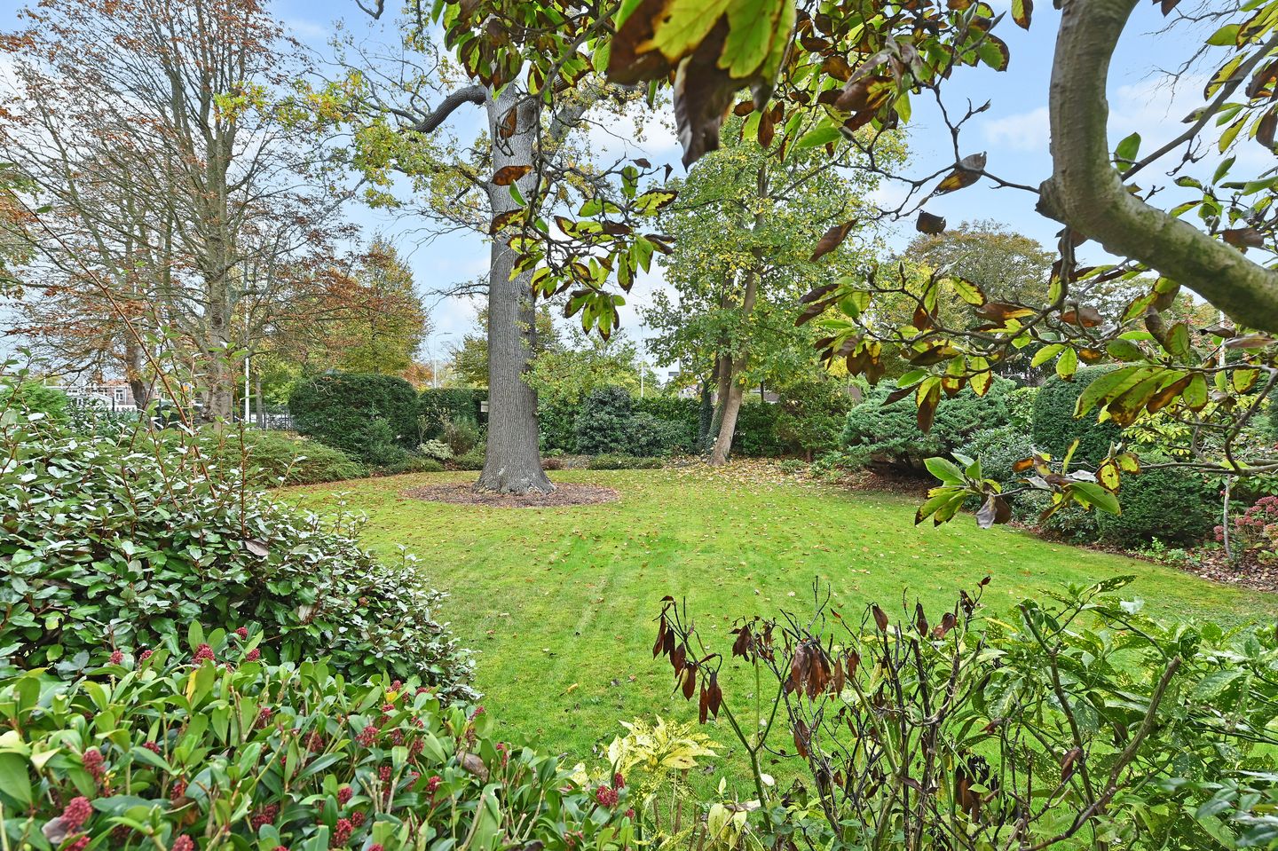 Photo 59 of Van Hogenhoucklaan 40