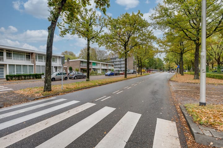 Foto 36 van Wandelboslaan 81