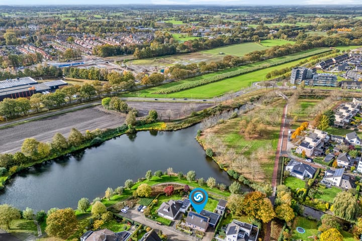 Foto 2 van Goudplevier 9