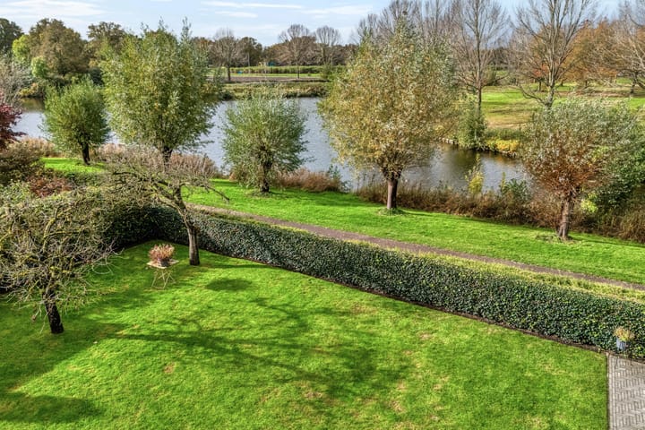 Foto 4 van Goudplevier 9