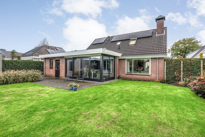 Foto 6 van Goudplevier 9