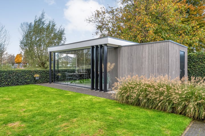 Foto 7 van Goudplevier 9