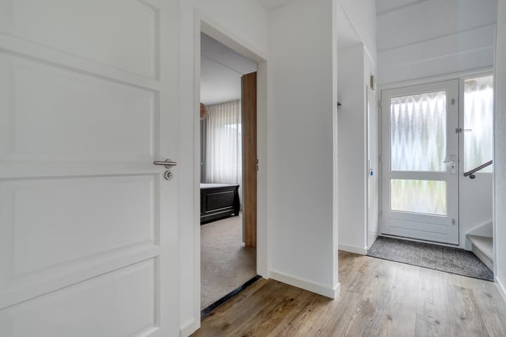 Foto 8 van Goudplevier 9