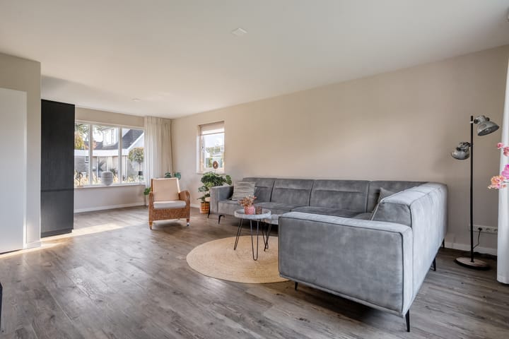 Foto 10 van Goudplevier 9