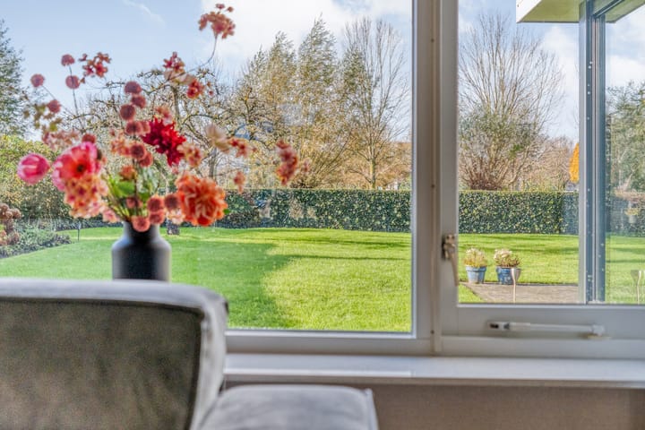 Foto 18 van Goudplevier 9