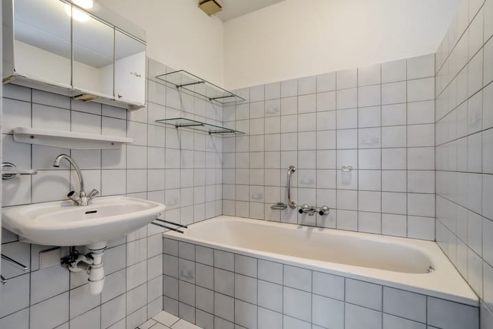 Foto 28 van Goudplevier 9