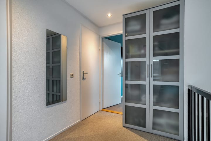 Foto 31 van Goudplevier 9