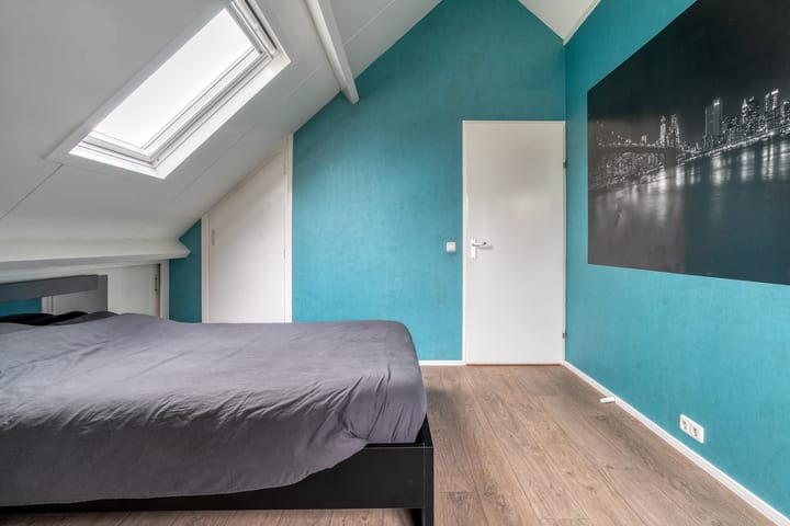 Foto 32 van Goudplevier 9