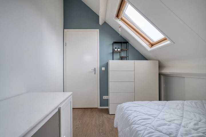 Foto 36 van Goudplevier 9