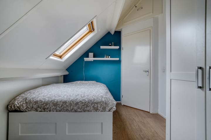 Foto 38 van Goudplevier 9