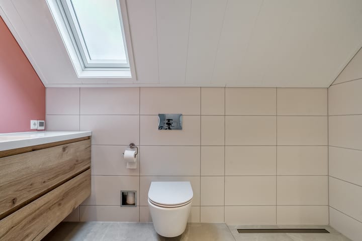 Foto 39 van Goudplevier 9