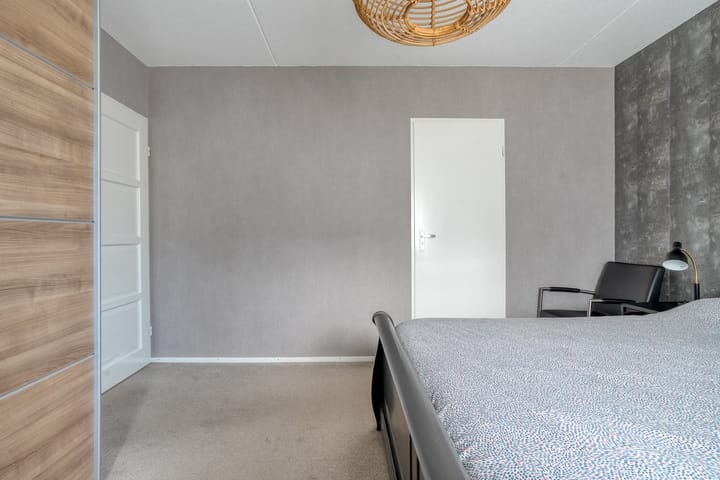 Foto 27 van Goudplevier 9