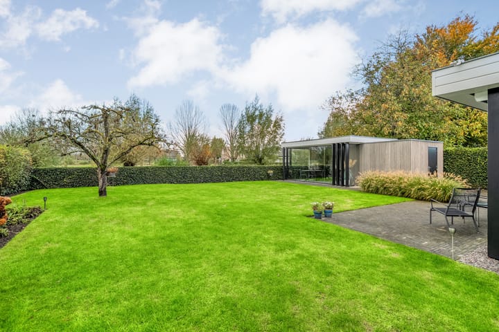 Foto 45 van Goudplevier 9