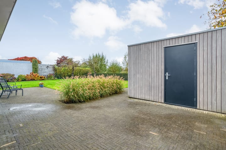 Foto 50 van Goudplevier 9