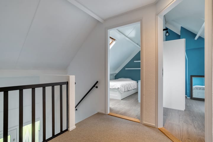 Foto 30 van Goudplevier 9