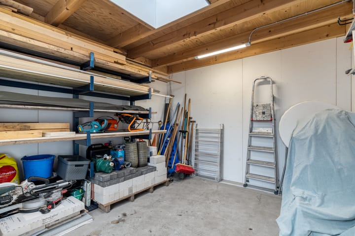 Foto 51 van Goudplevier 9