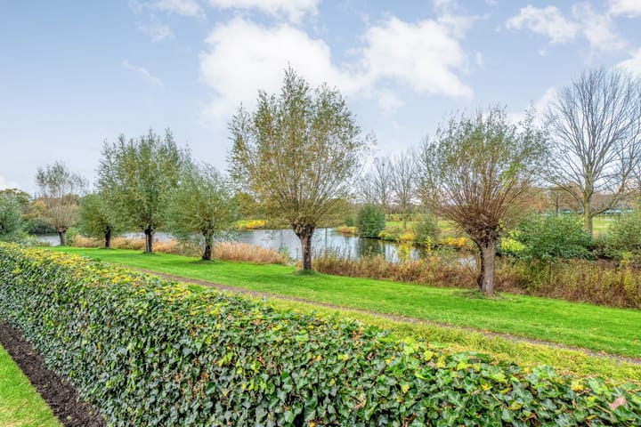 Foto 52 van Goudplevier 9