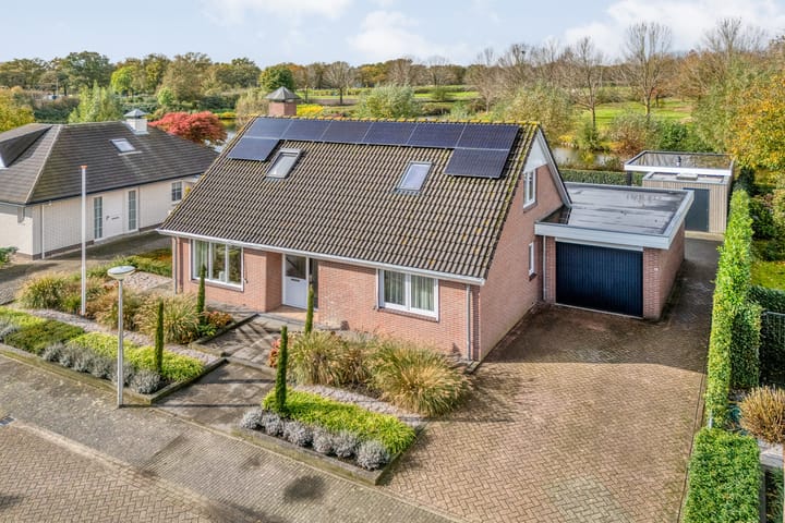 Foto 54 van Goudplevier 9