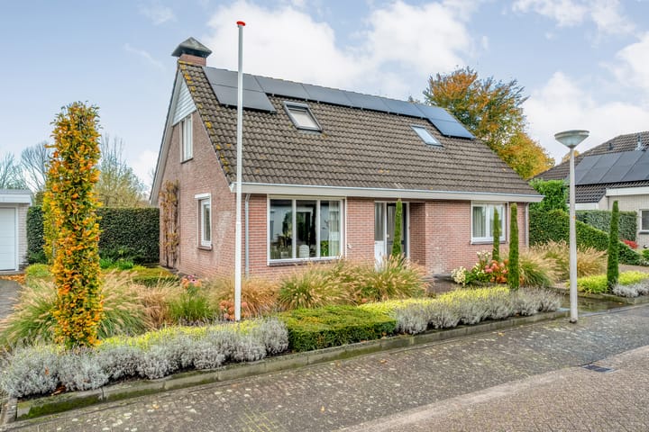 Foto 55 van Goudplevier 9