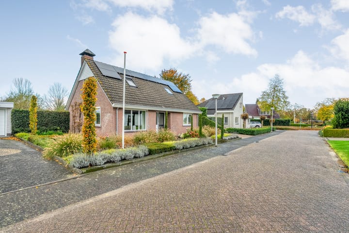 Foto 56 van Goudplevier 9