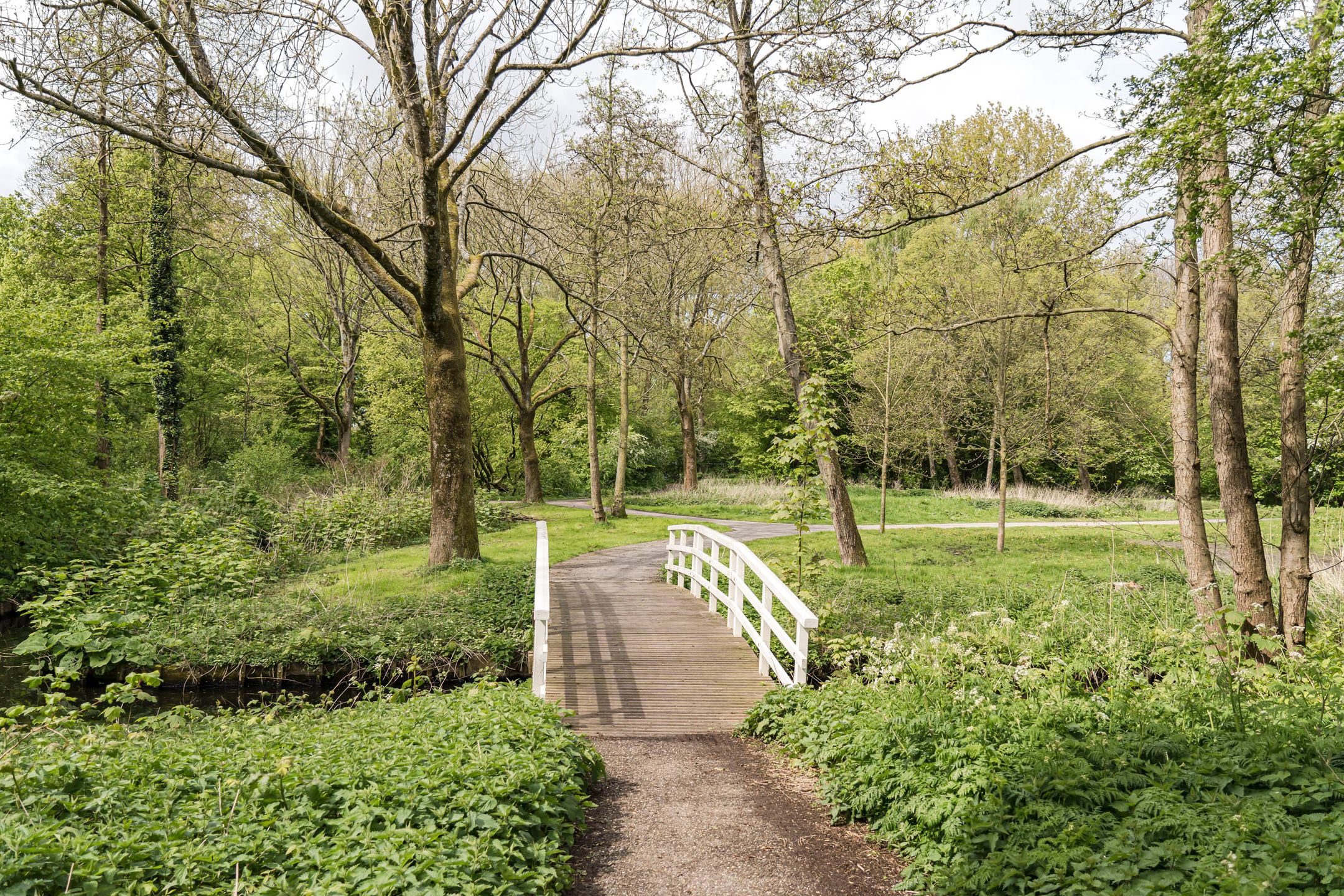 Foto 27 van Engelandlaan 1158