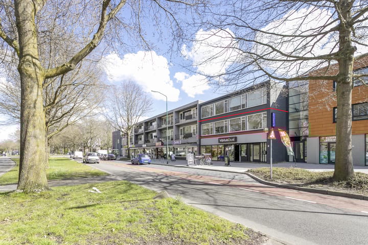 Photo 4 of Zaltbommelseweg 24