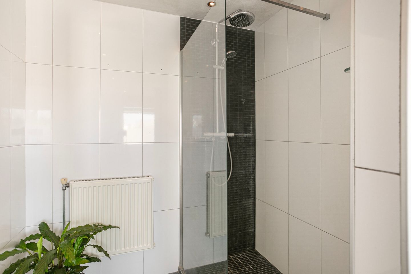 Foto 20 van Apollo 38