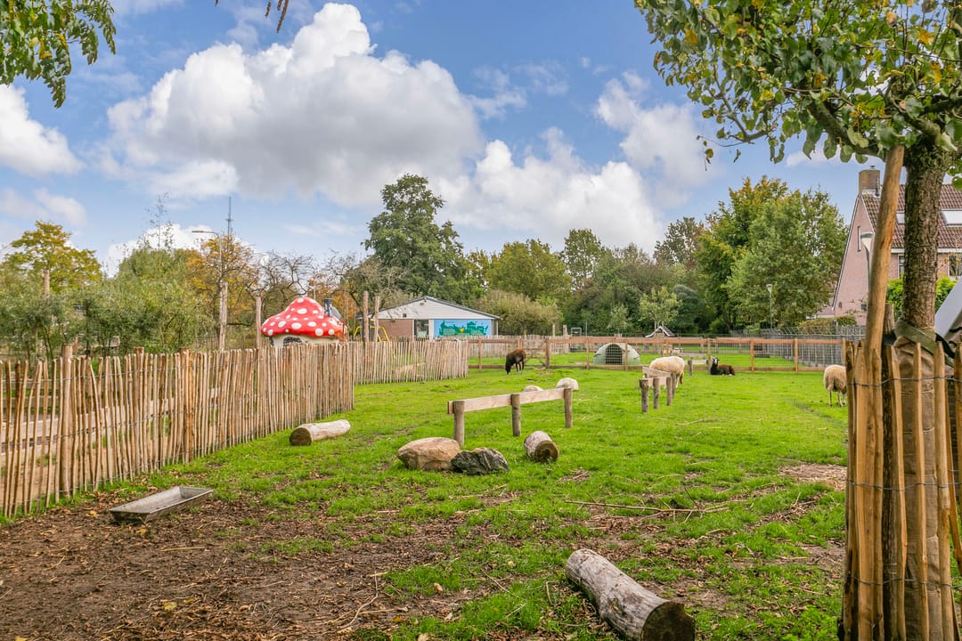 Foto 28 van Apollo 38