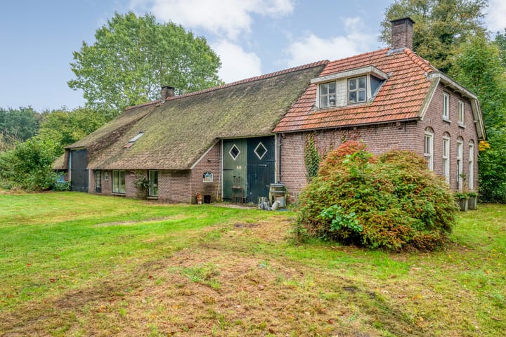 Photo 3 of Ruinerweg 48