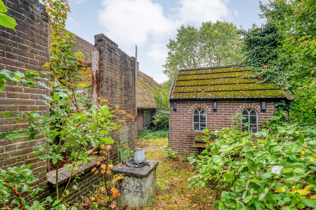 Foto 32 van Ruinerweg 48