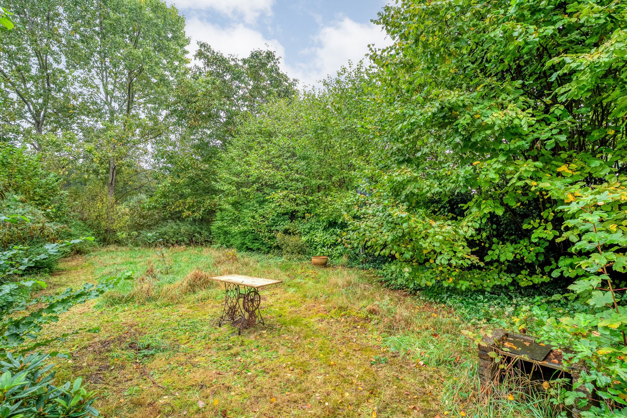 Foto 33 van Ruinerweg 48