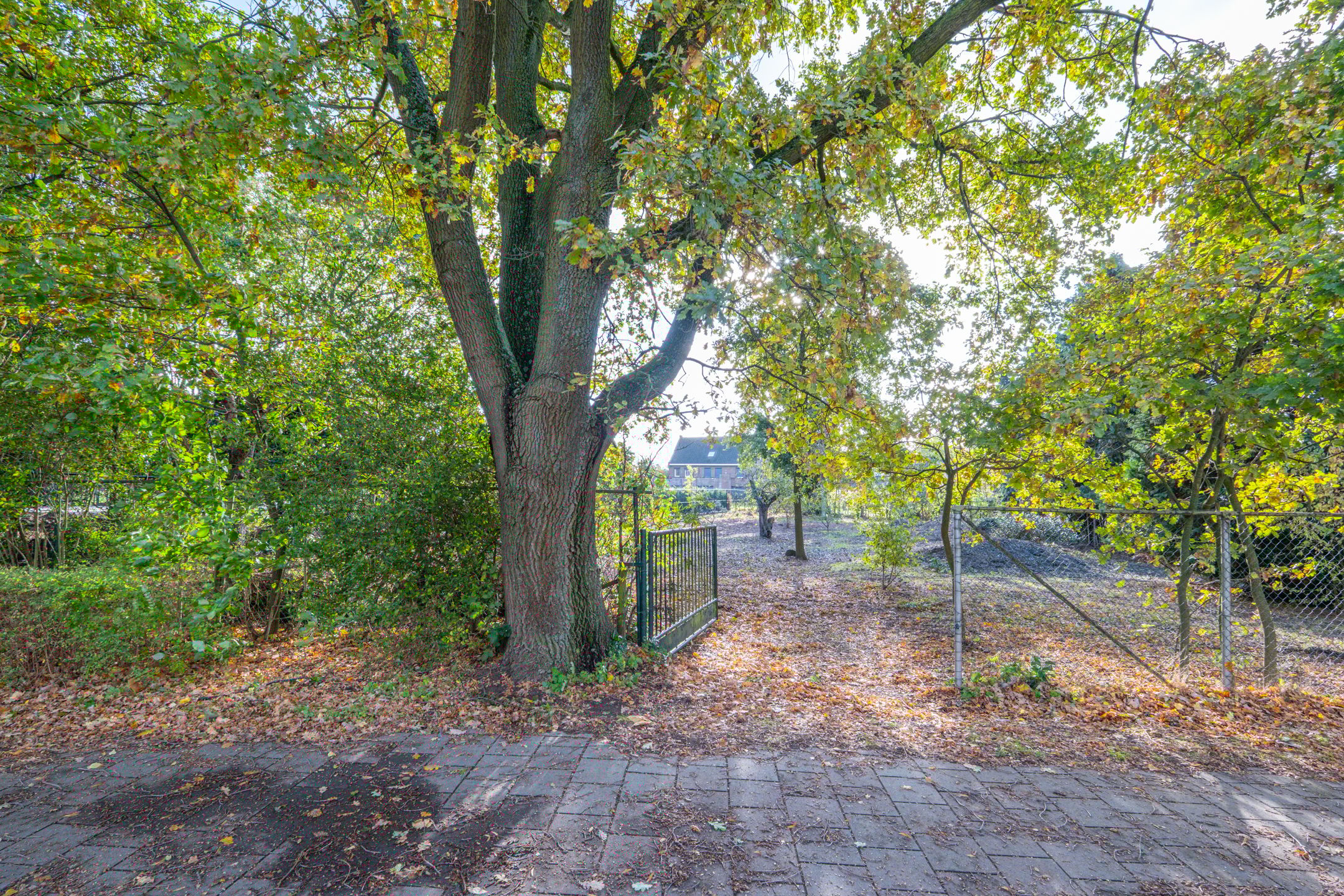 Bandertlaan, Echt, 6101LZ, Limburg, Nederland  