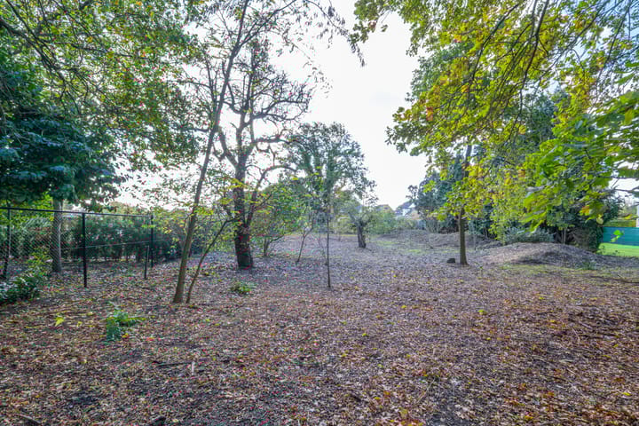 Photo 4 of Bandertlaan