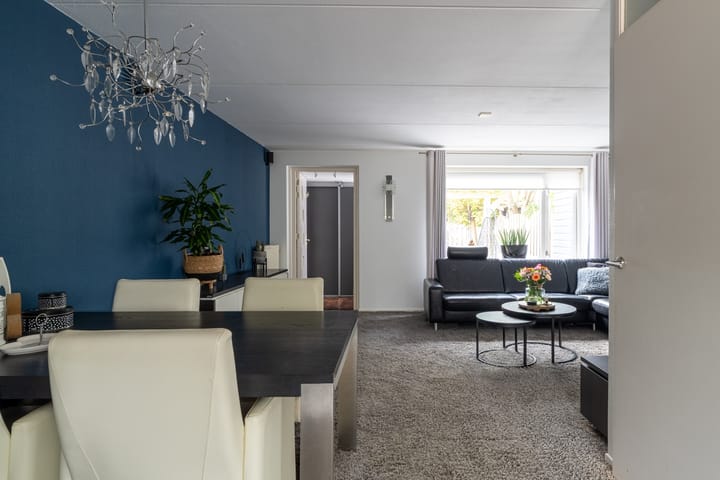 Foto 5 van Bladriet 11