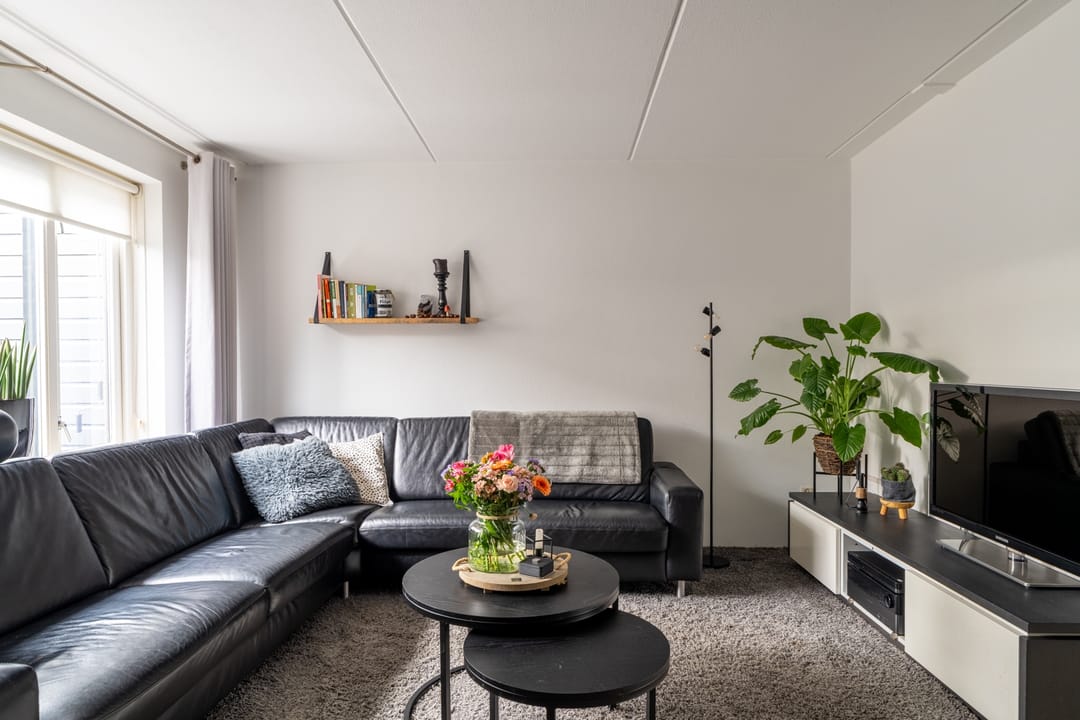 Foto 7 van Bladriet 11