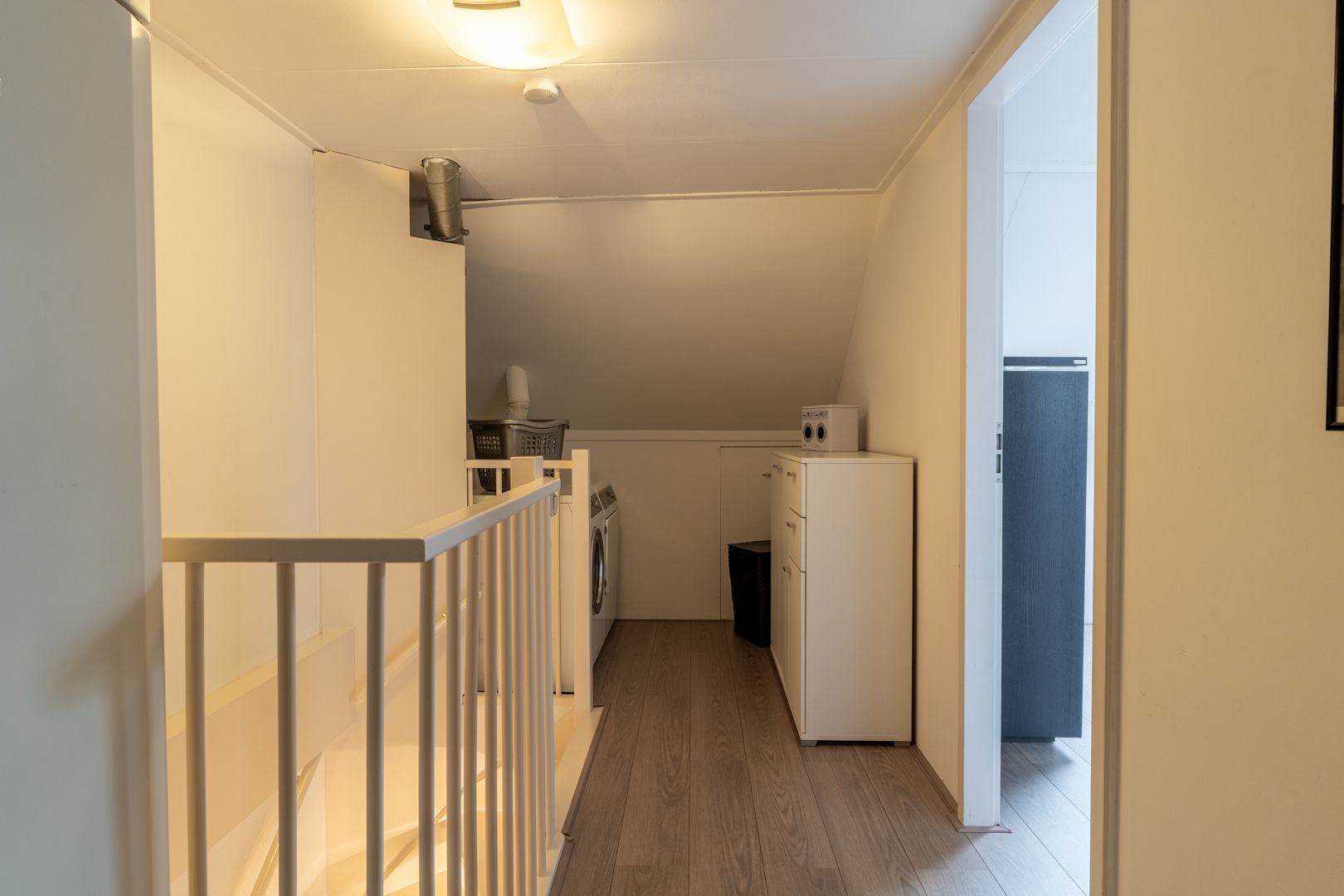 Foto 24 van Bladriet 11