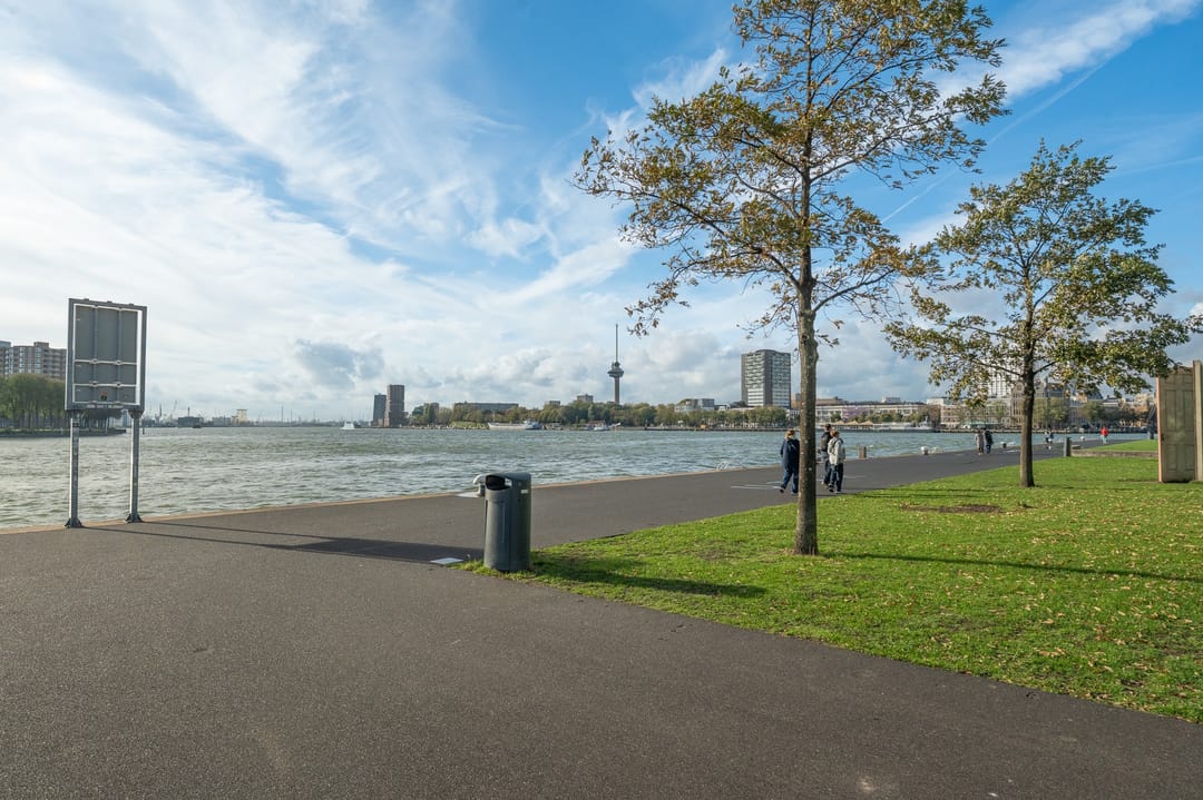 Foto 23 van Landverhuizersplein 110