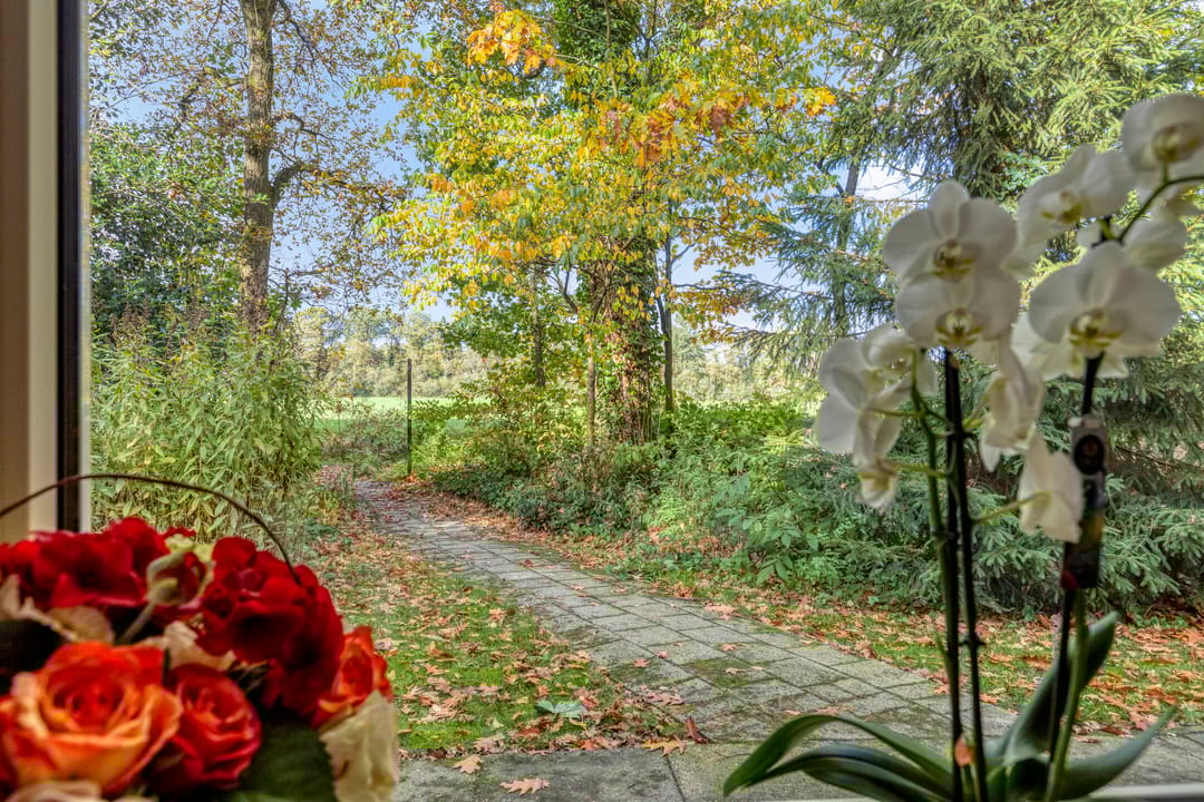 Foto 13 van Kattenbergweg 1-65