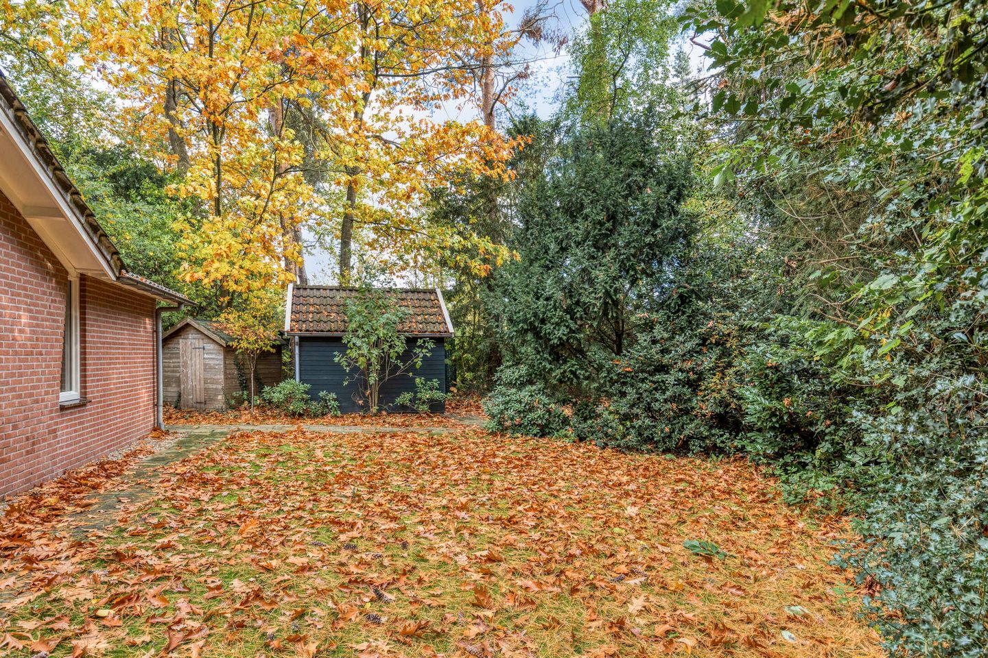 Foto 34 van Kattenbergweg 1-65