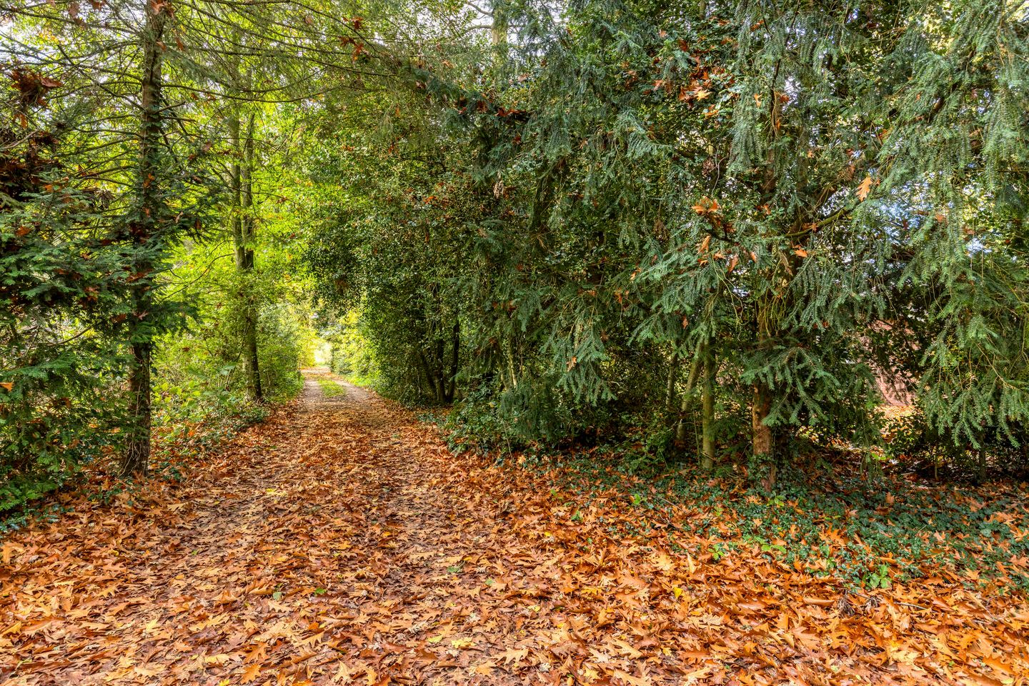 Foto 40 van Kattenbergweg 1-65