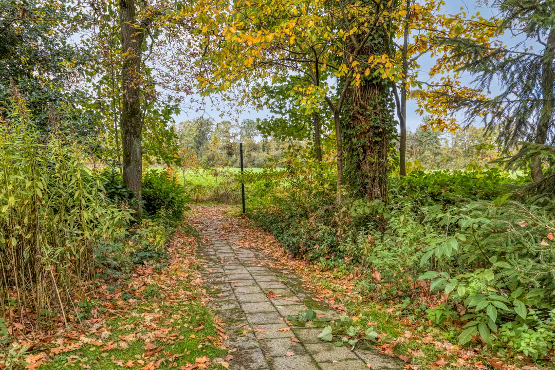 Foto 41 van Kattenbergweg 1-65