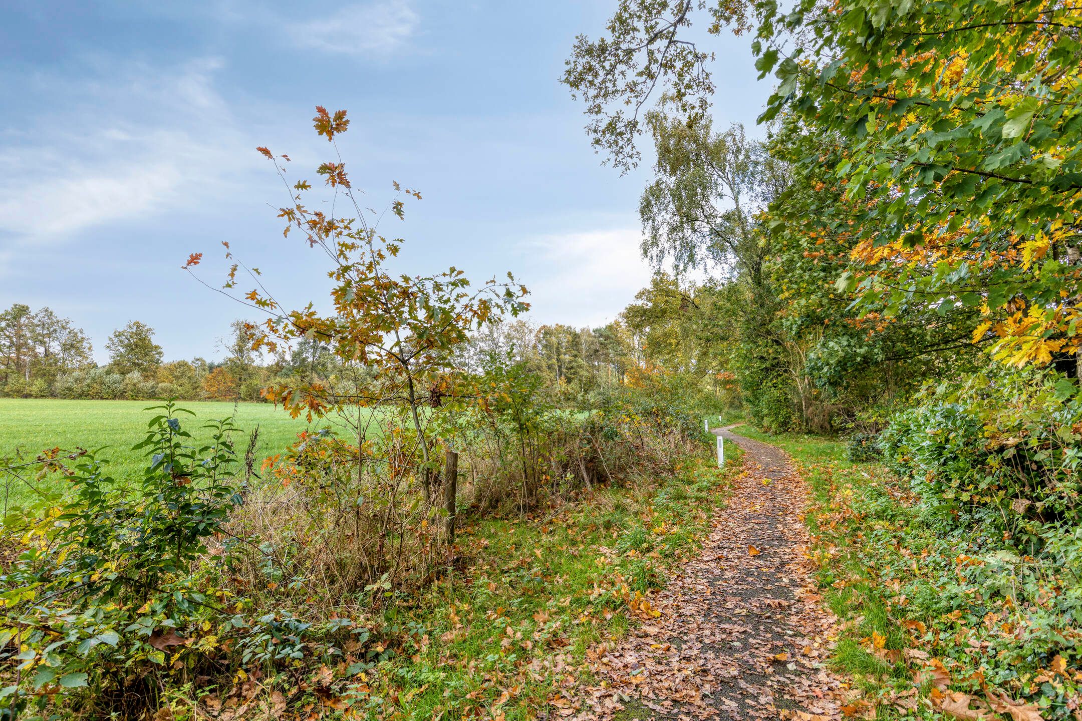 Foto 42 van Kattenbergweg 1-65