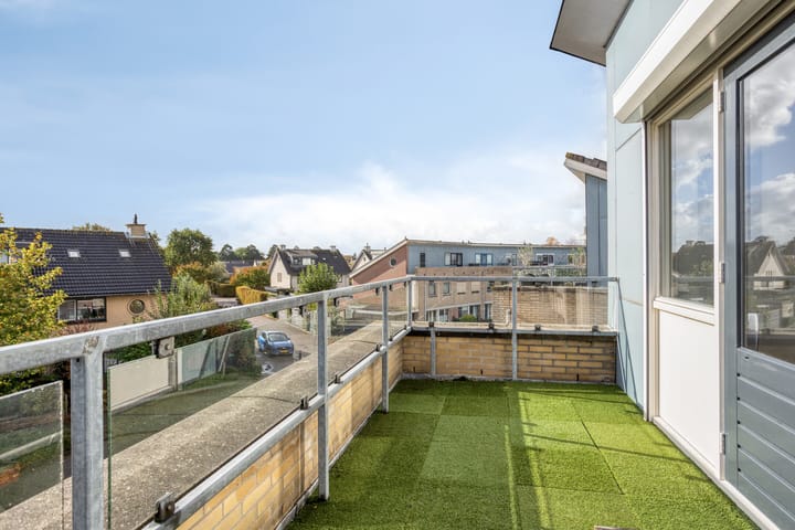 Photo 31 of Hertshoornvaren 24